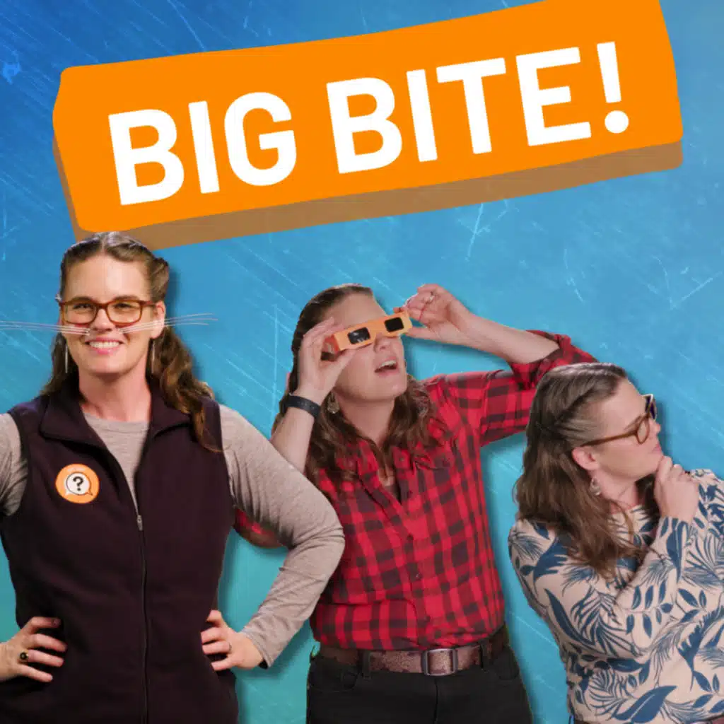 Chameleons, jellyfish and ballerinas! Check out But Why Bites