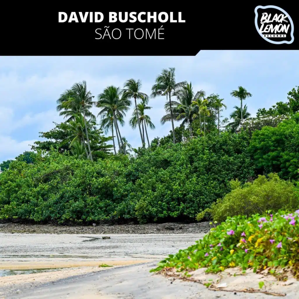 David Buscholl