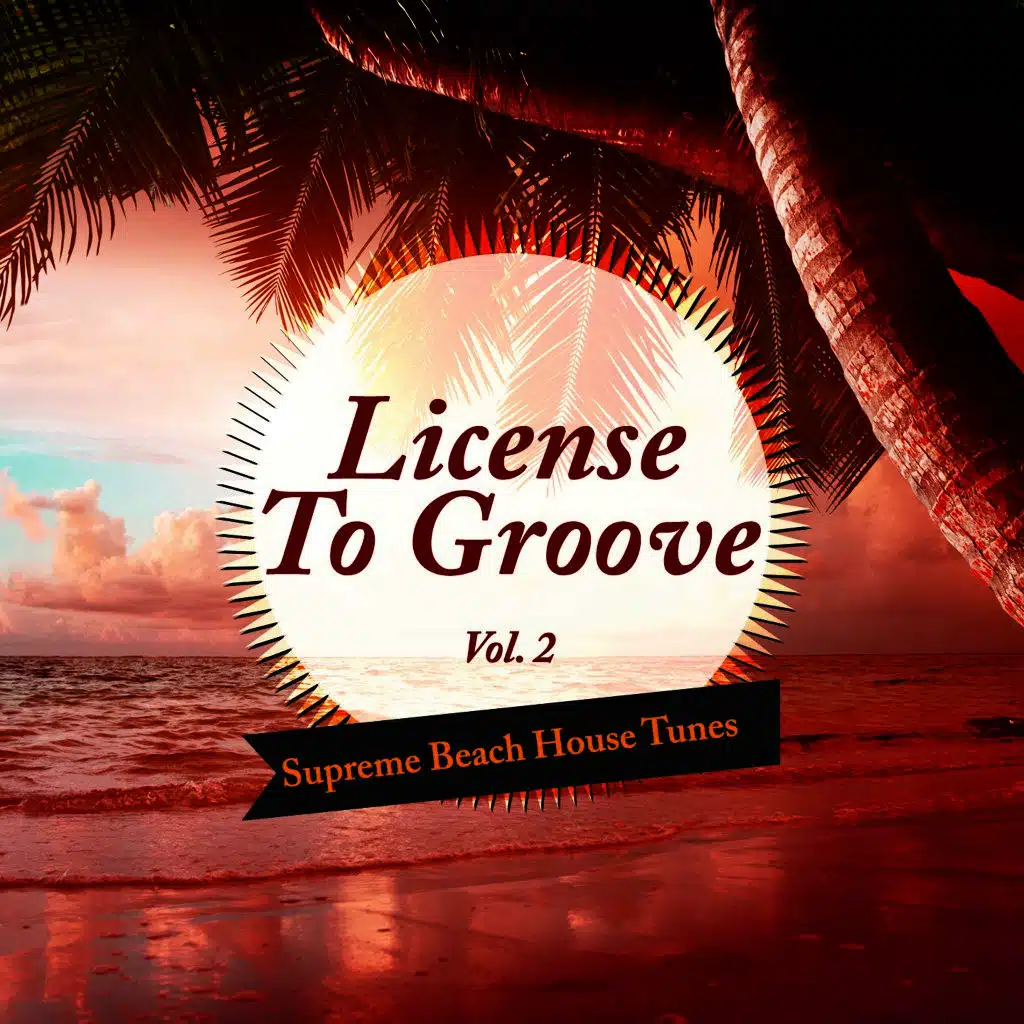 License to Groove - Supreme Beach House Tunes, Vol. 2