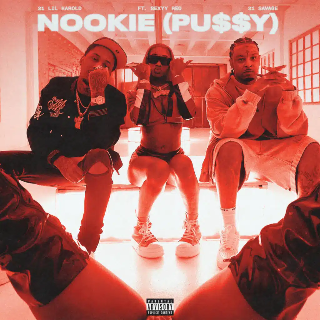 Nookie (Pu$$y) [feat. Sexyy Red]