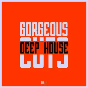 Gorgeous Deep House Cuts, Vol. 1