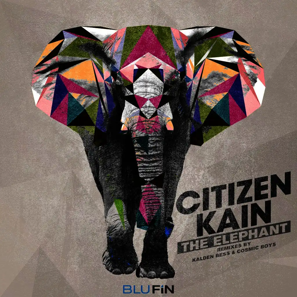 The Elephant (Kalden Bass Remix)