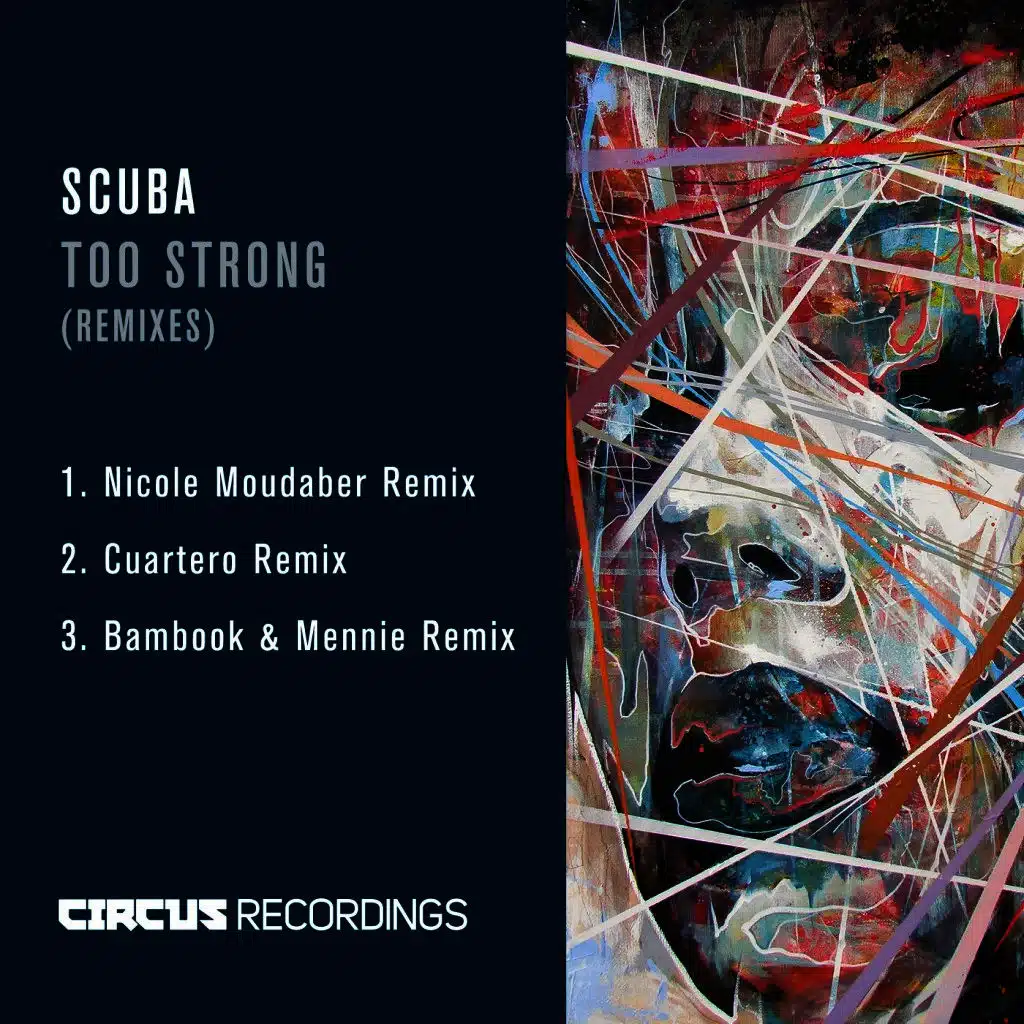 Too Strong (Remixes)