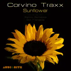 Sunflower (Ramiro Bernabela Remix)
