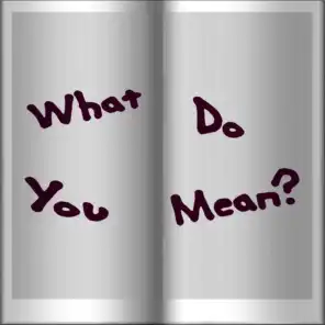 What Do You Mean? (High Backing Track)