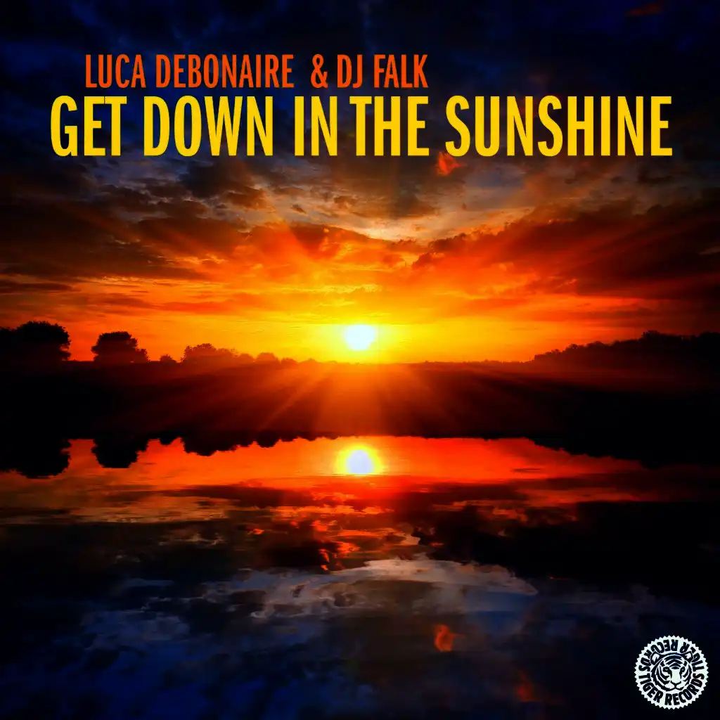 Get Down in the Sunshine (Radio Edit)
