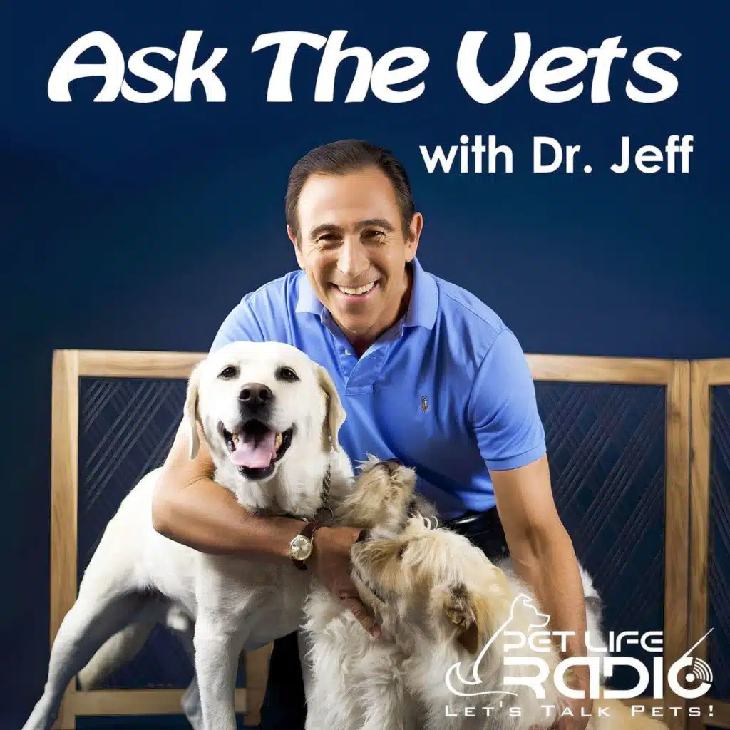 Ask the Vets - Episode 504 July13, 2025