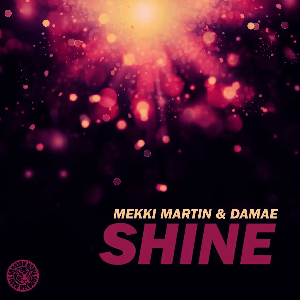 Shine (Diver & Blanco & Baj Remix)