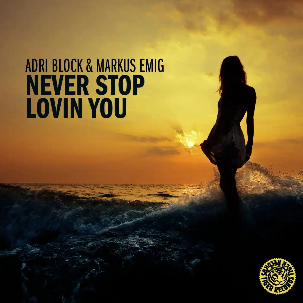 Never Stop Lovin You