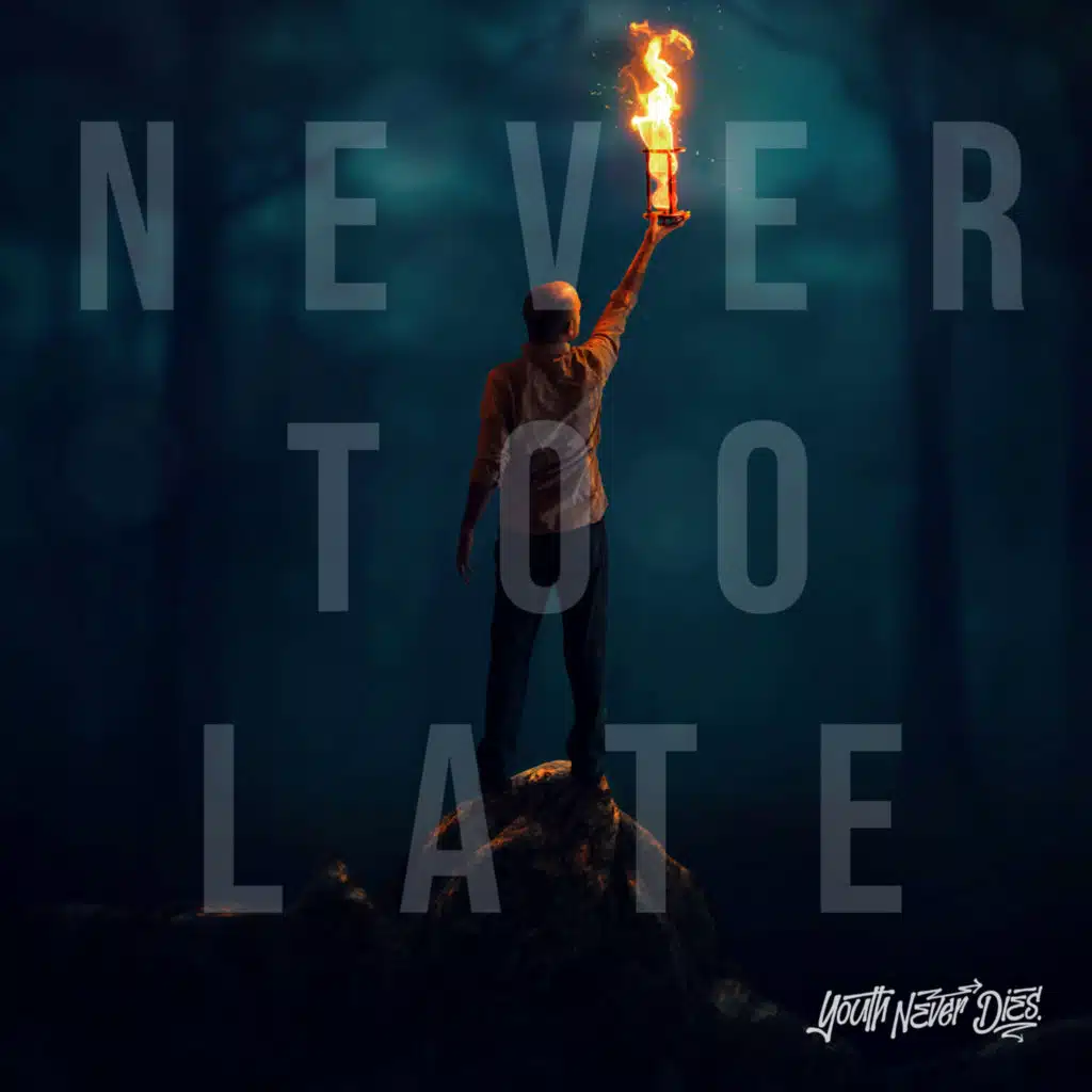 Never Too Late (feat. Onlap)