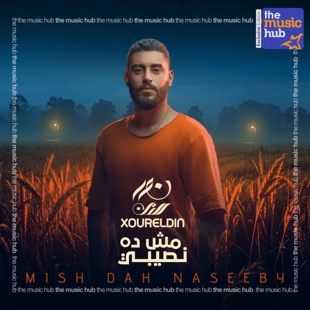 مش ده نصيبي