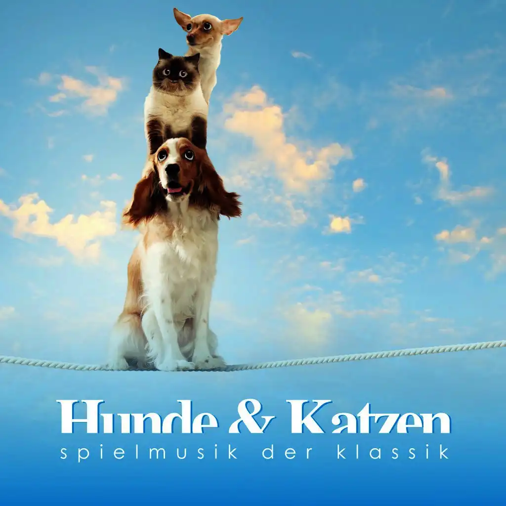 Hunde & Katzen Spielmusik der Klassik