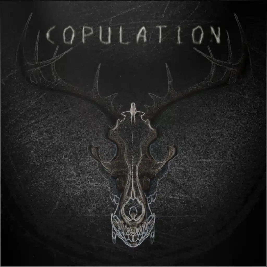 Copulation