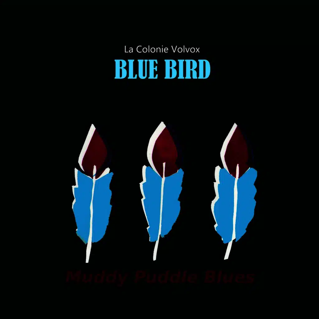 Blue Bird
