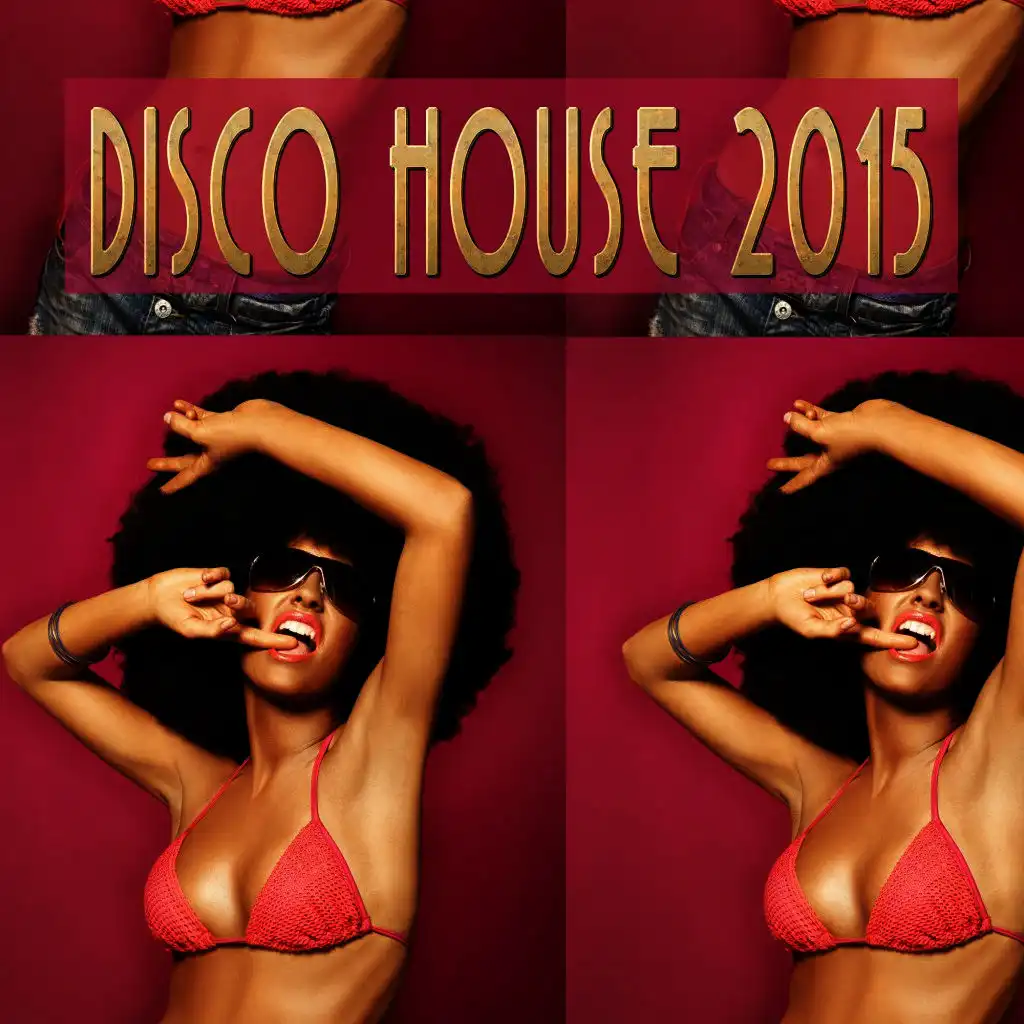 Disco House 2015