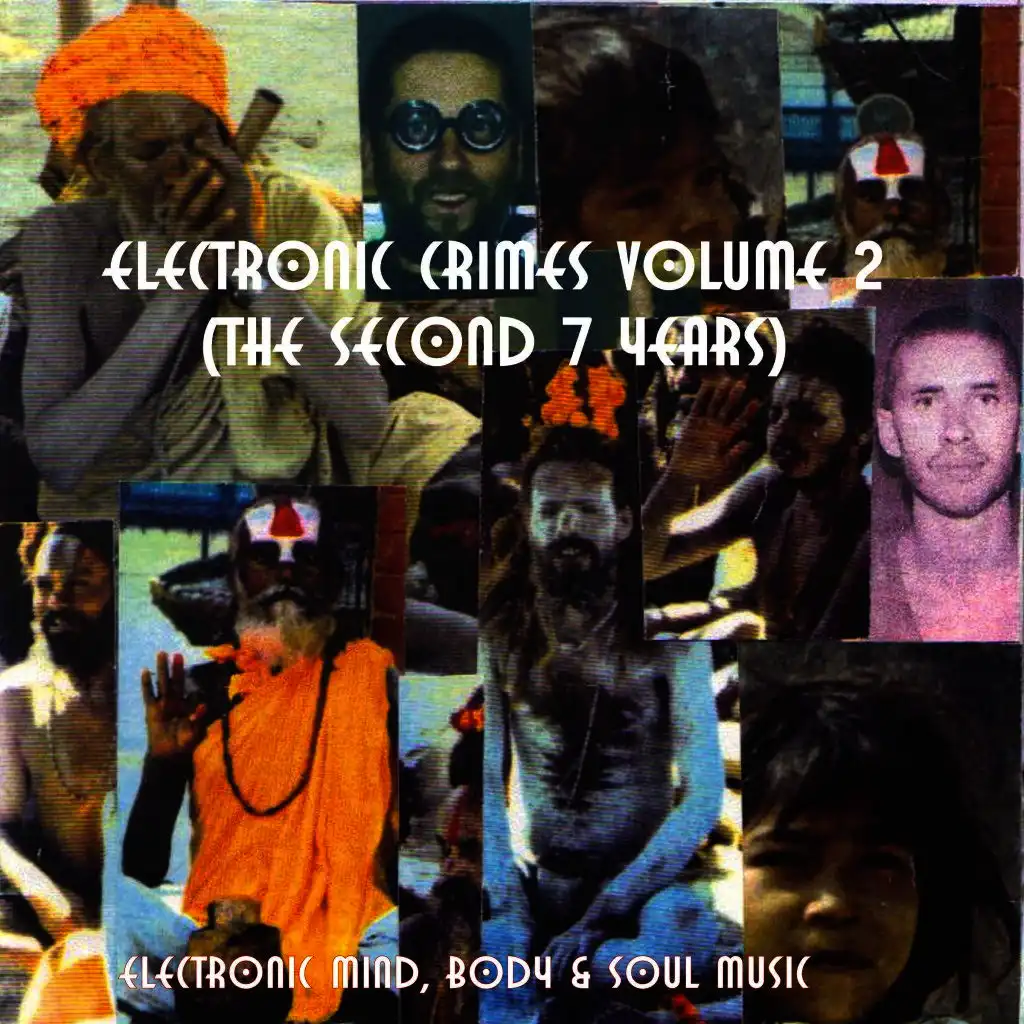 Electronic Crimes, Vol. 2