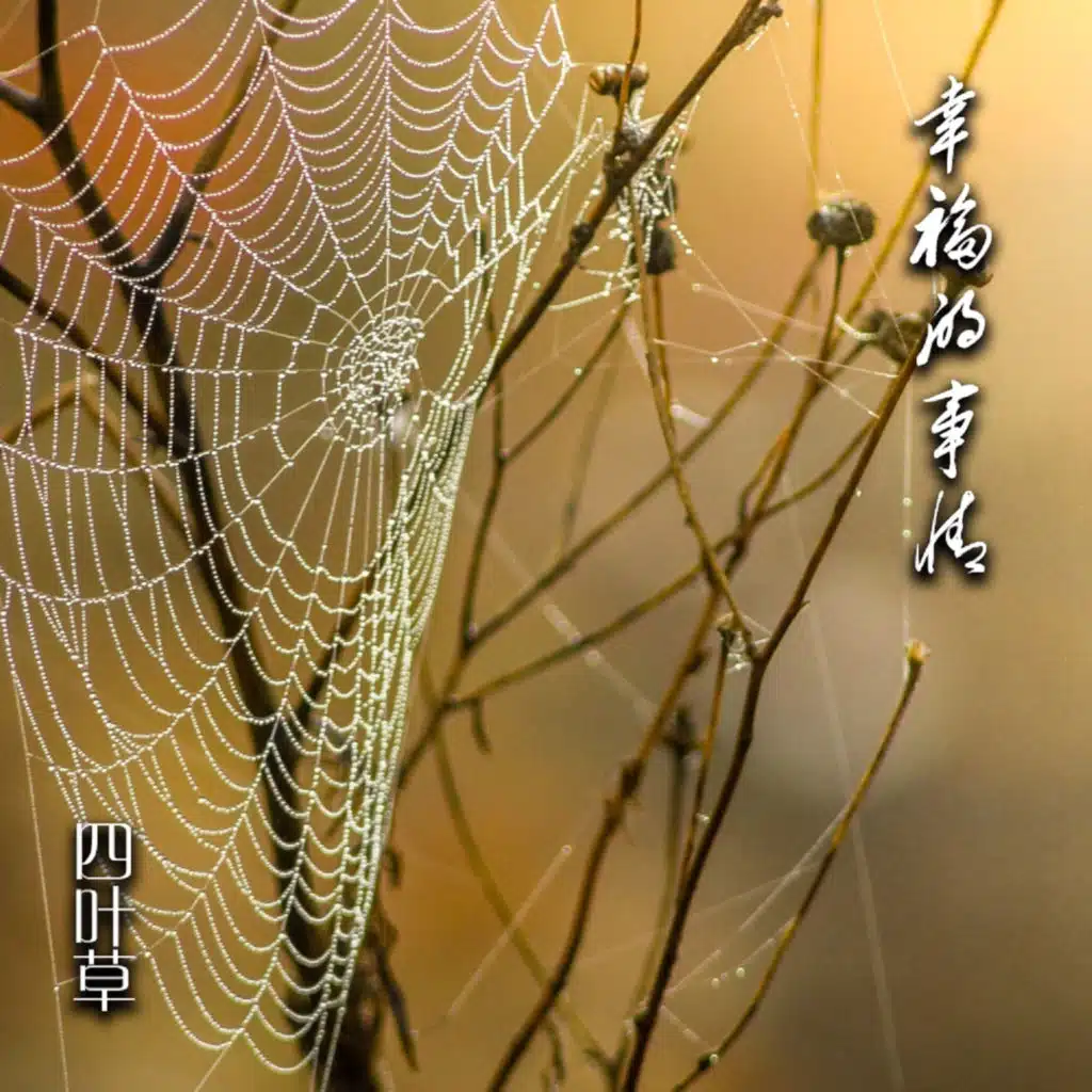 幸福的事情