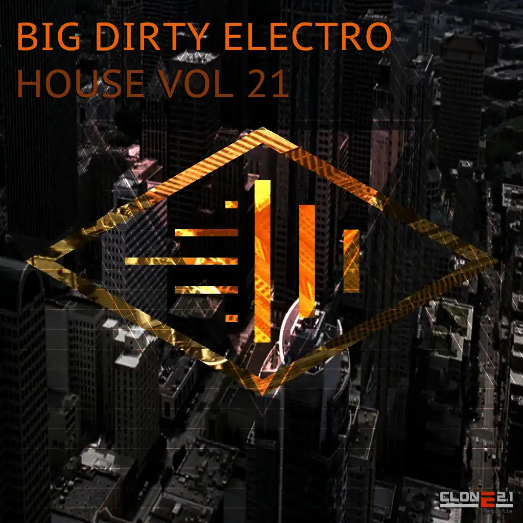 Big Dirty Electro House, Vol. 21