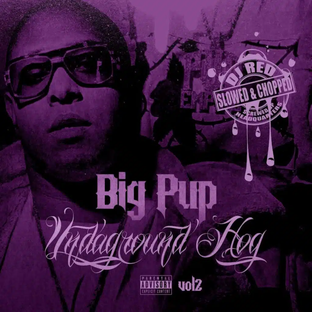 Hold Me Down (feat. DJ Red) (Slowed & Chopped)