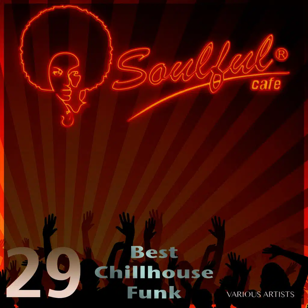 29 Best Chillhouse Funk