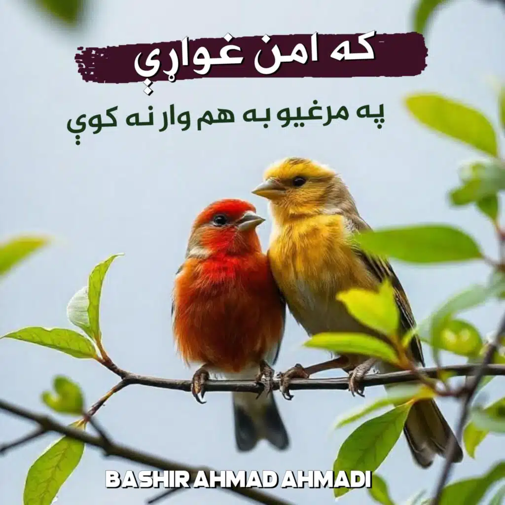 رب دي ساته مور دي نه شي په تا بوره