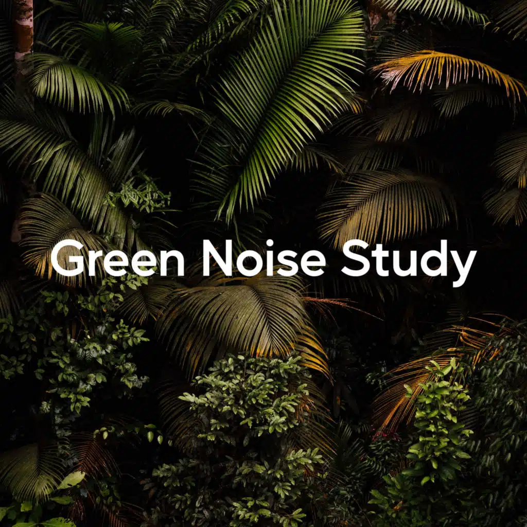 Green Noise Study