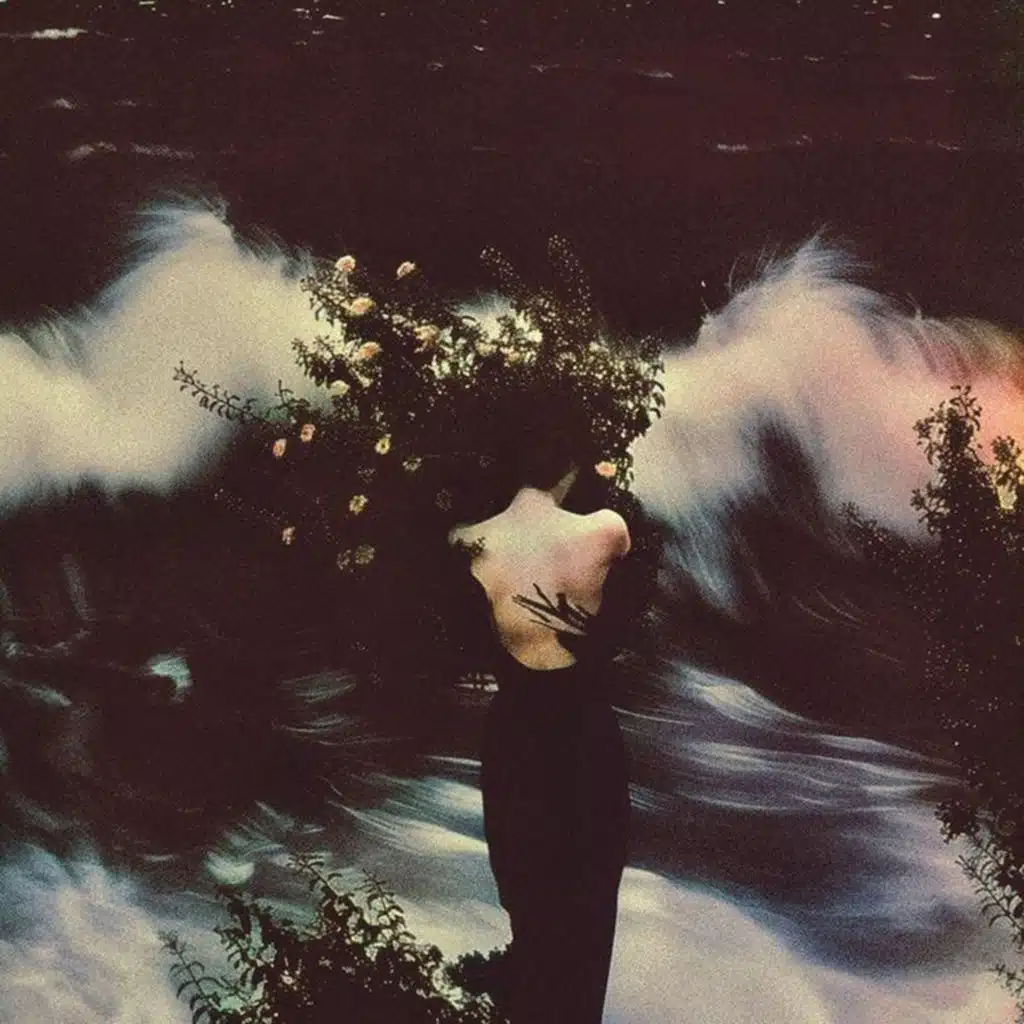 Emberleaf & Universatility Group