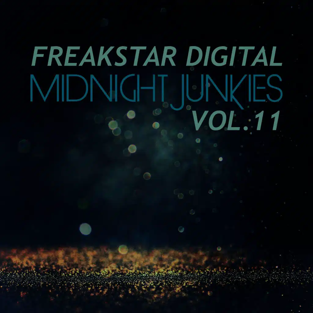 Midnight Junkies, Vol. 11
