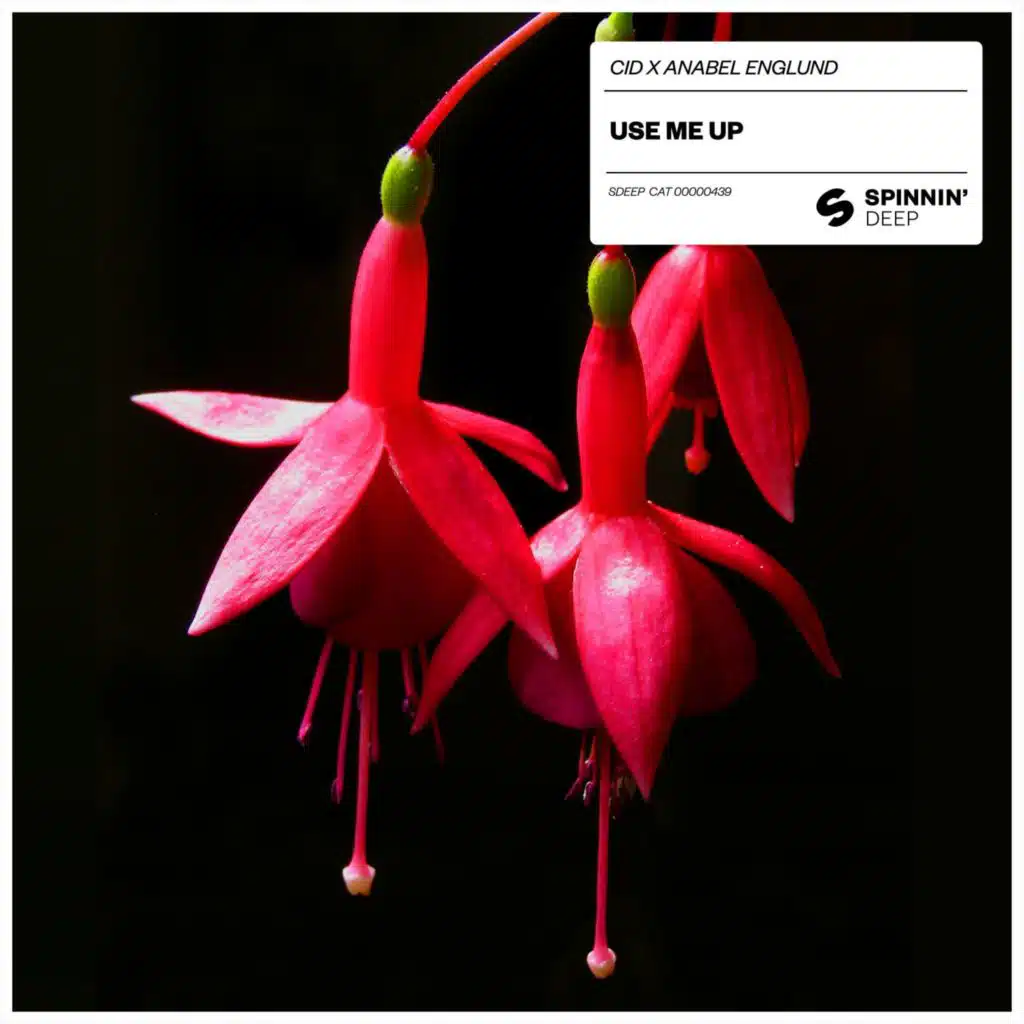CID x Anabel Englund