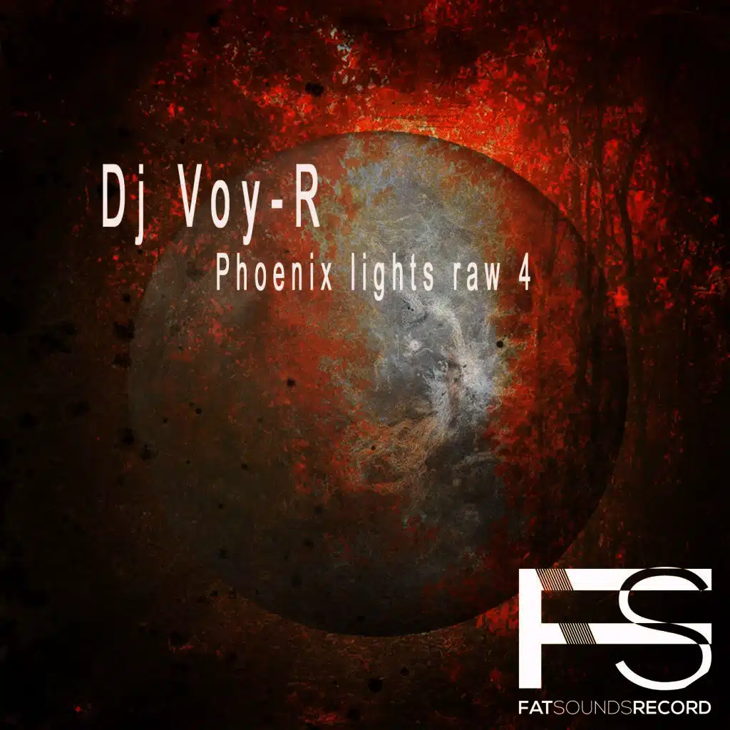 Phoenix Lights Raw 4