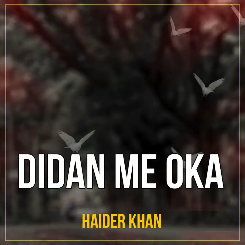 Haider Khan