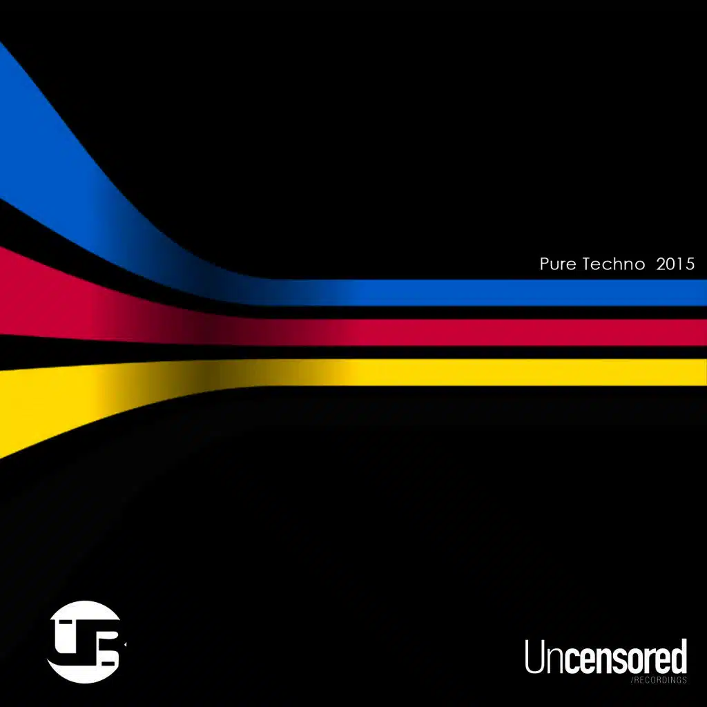 Pure Techno 2015