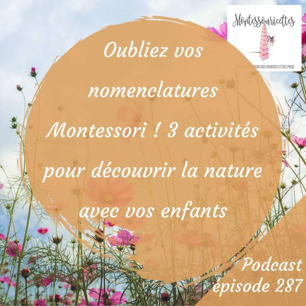 287. Oubliez vos nomenclatures Montessori ! 3 activités pour découvrir la nature avec vos enfants (Redif)