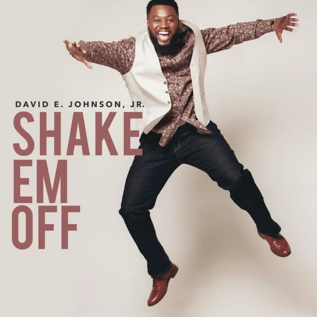 David E Johnson Jr