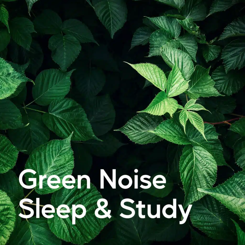 Green Noise Sleep & Study