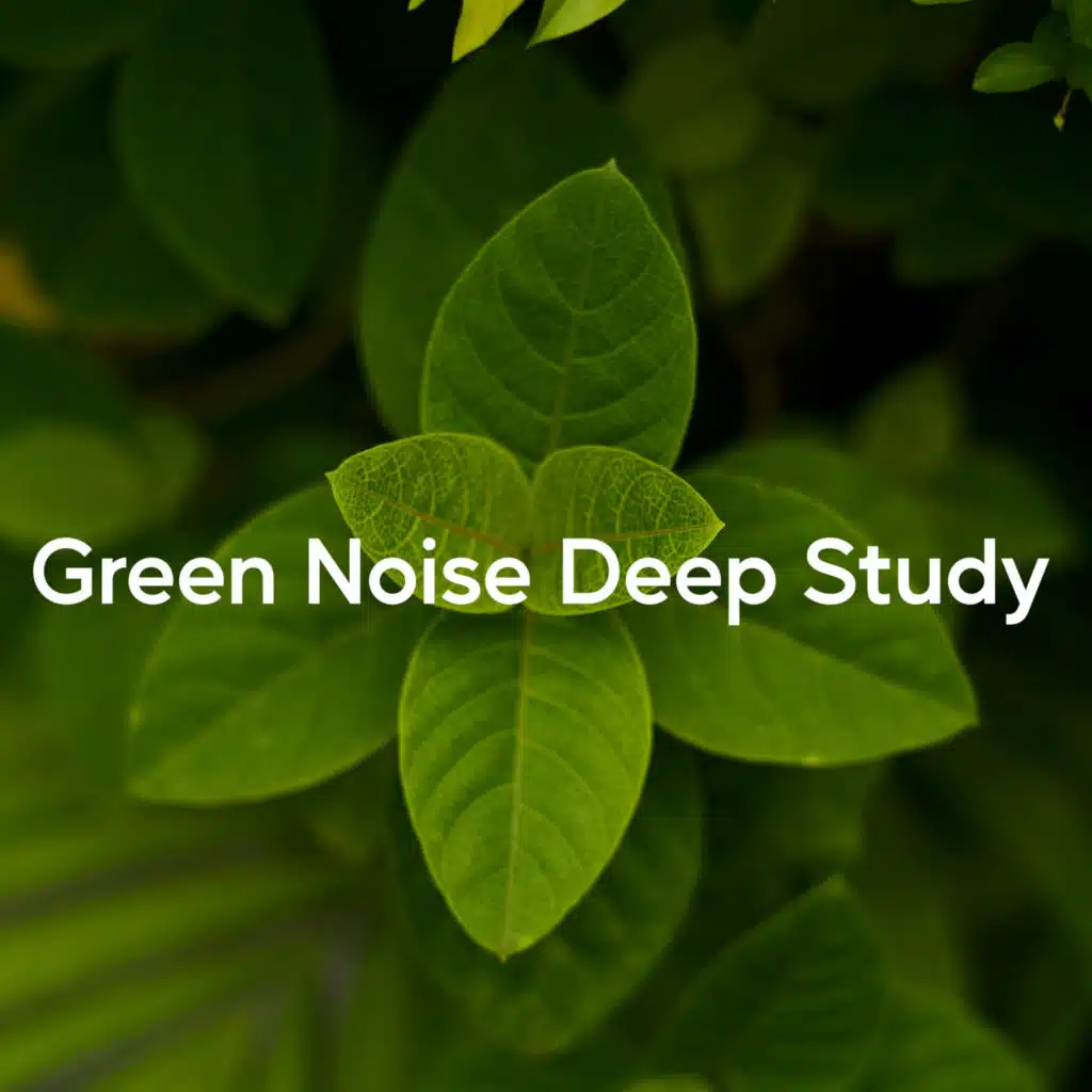 Green Noise Deep Study