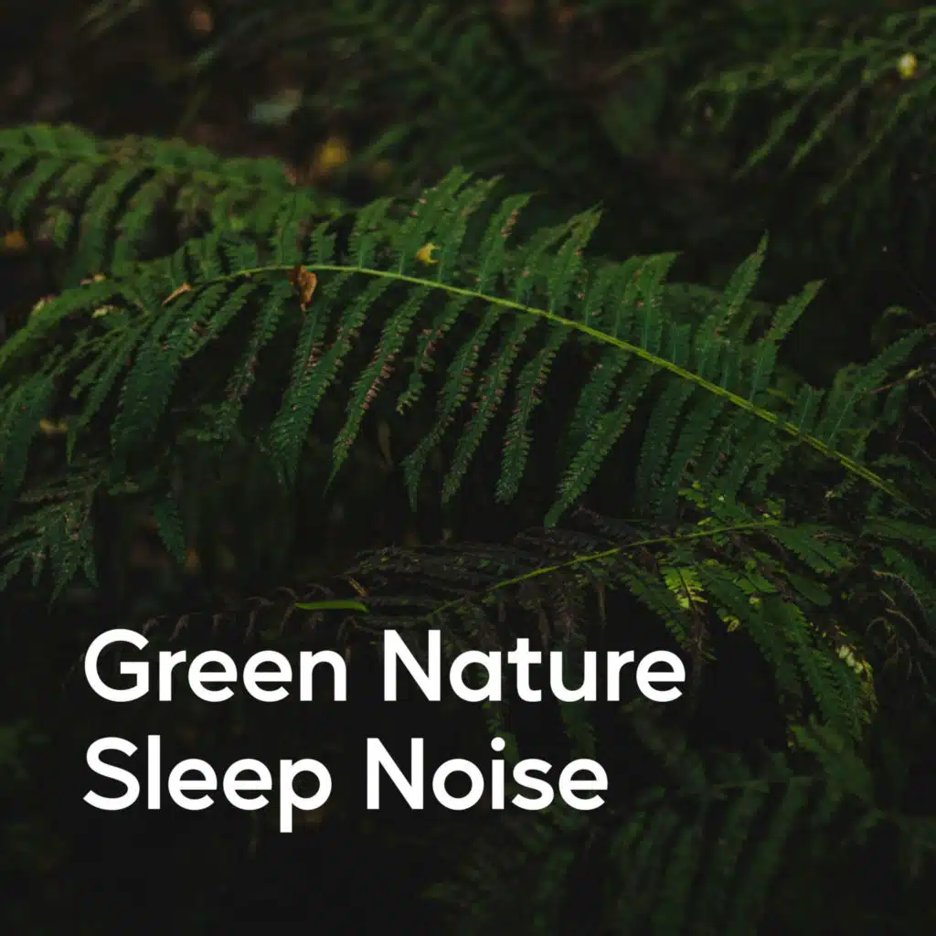 Peaceful Sleep in Nature