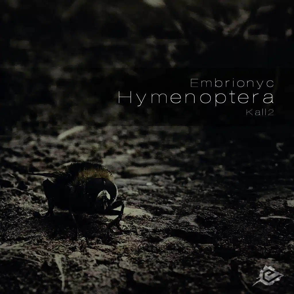Hymenoptera