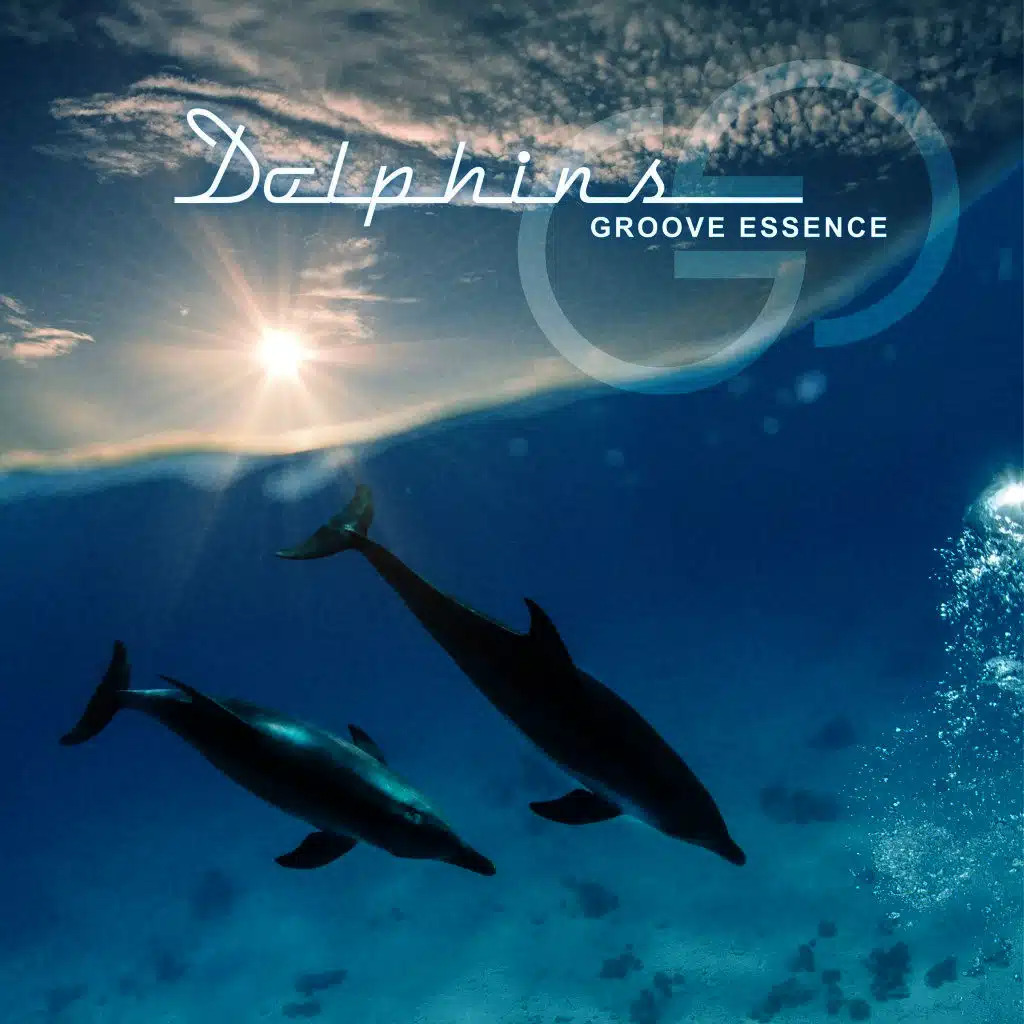 Dolphins
