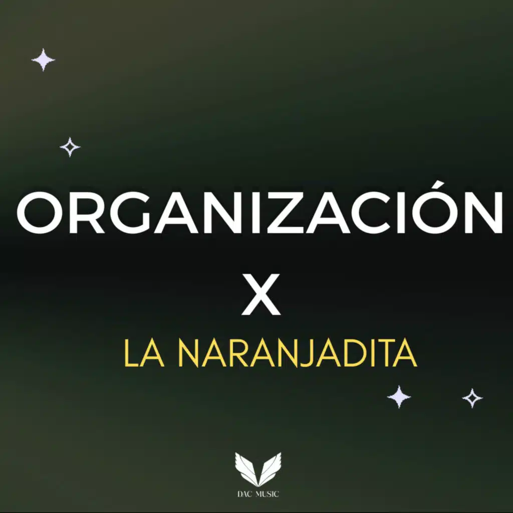 Organización X