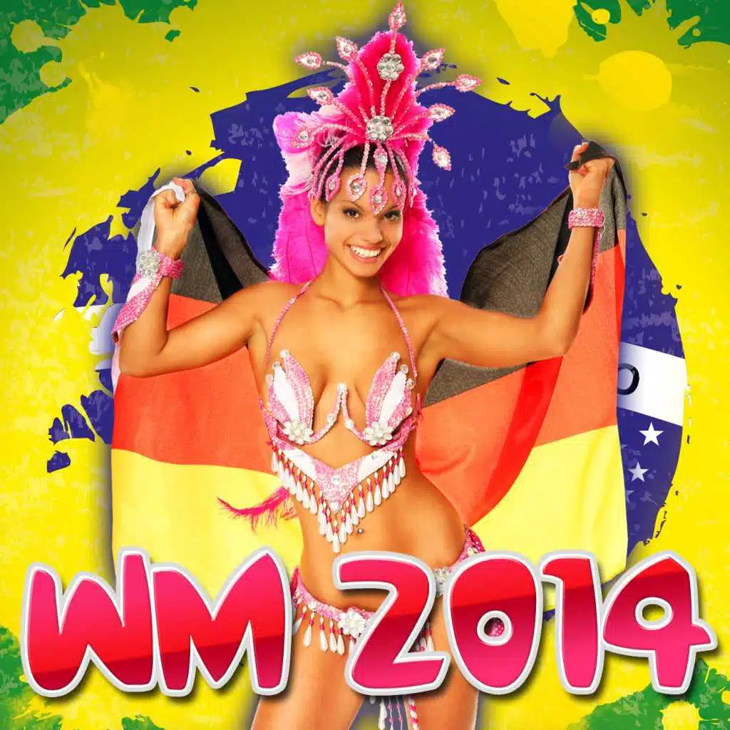 WM 2014