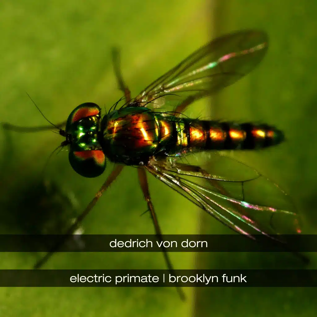 Electric Primate & Brooklyn Funk