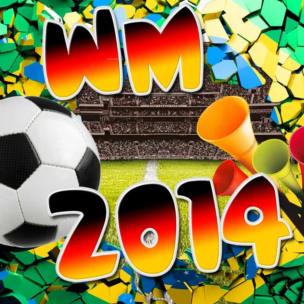 WM 2014