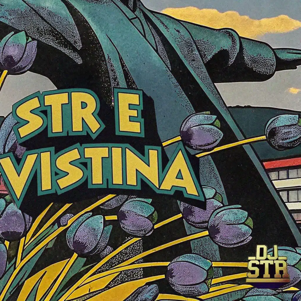STR E Vistina