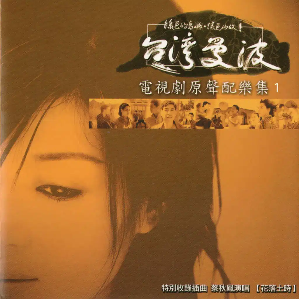 台灣曼波金水嬸1