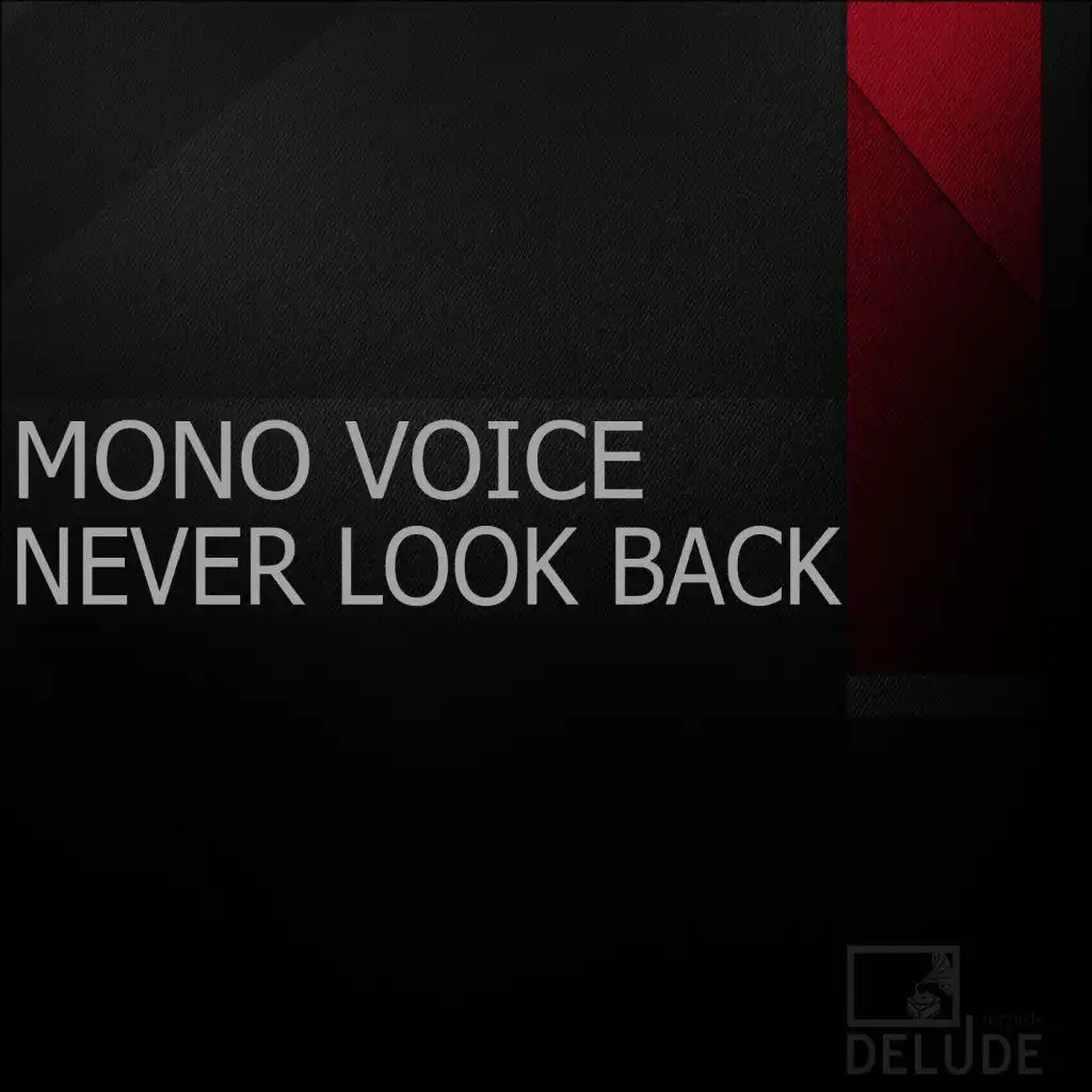 Never Look Back (Bitterstrom Remix)