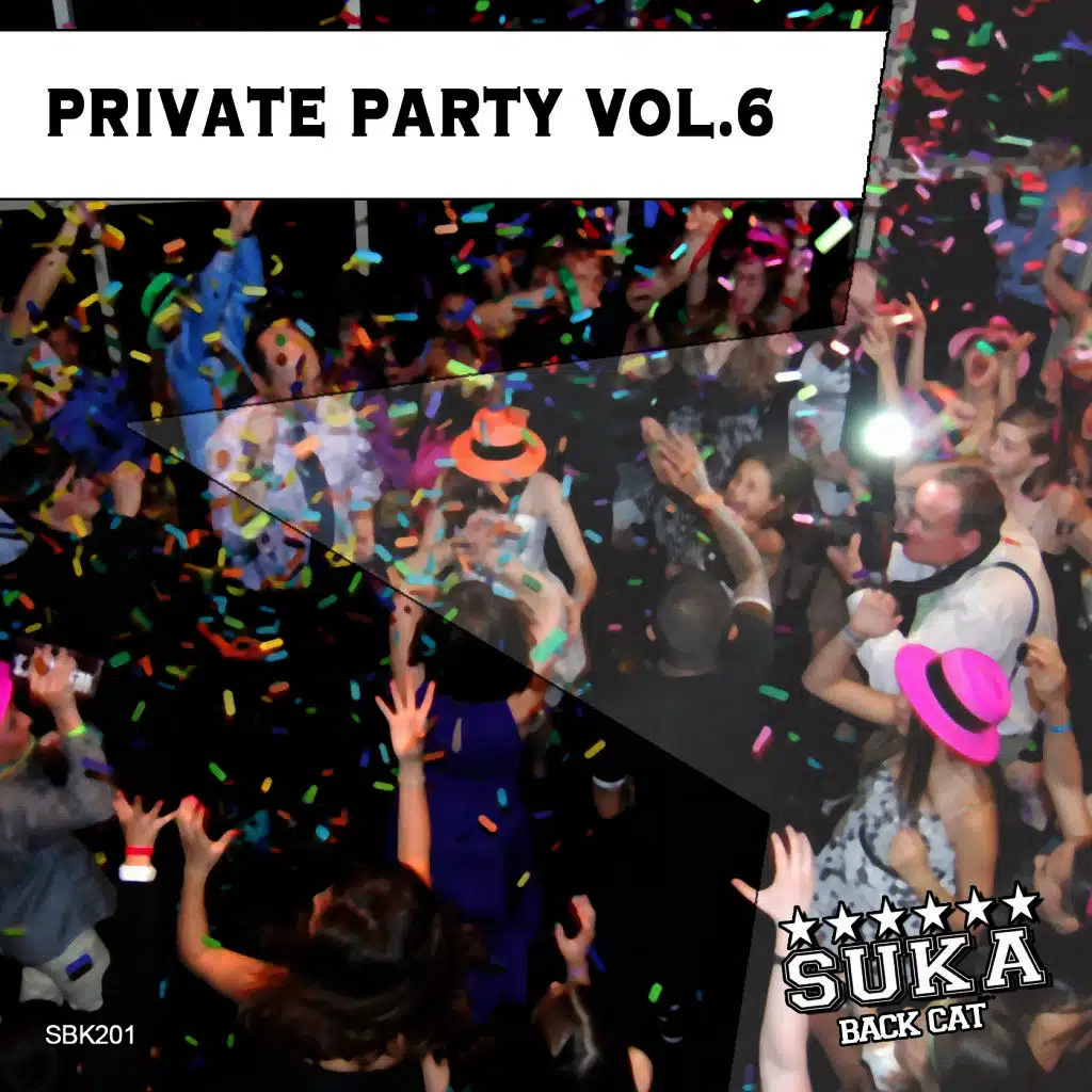 Private Party, Vol. 6