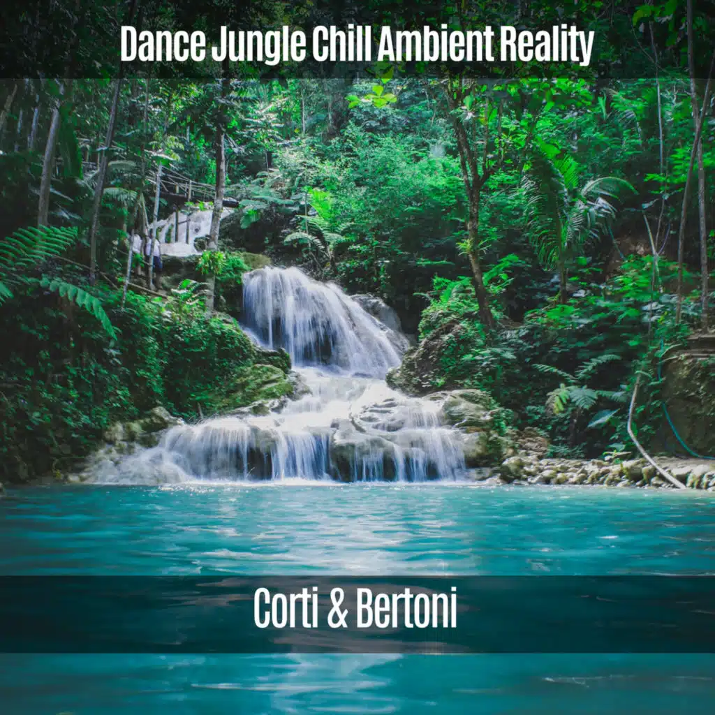 Dance Jungle Chill Ambient Reality