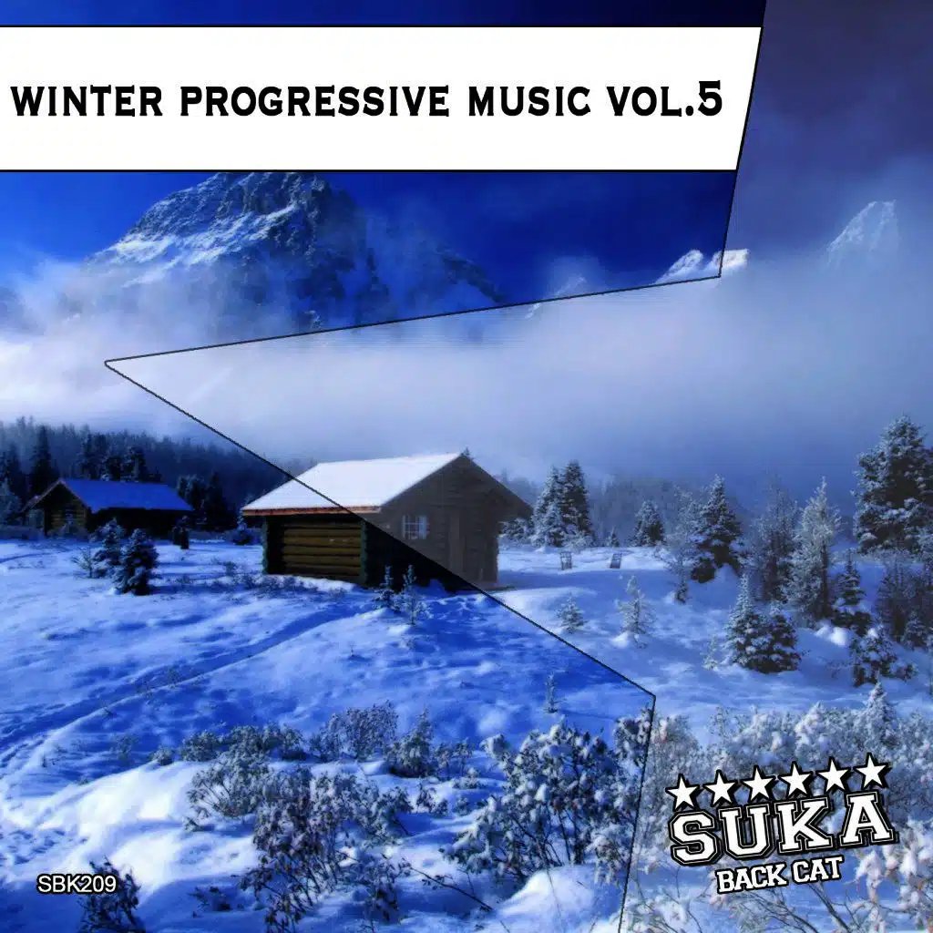 Winter Music Progressive, Vol. 5