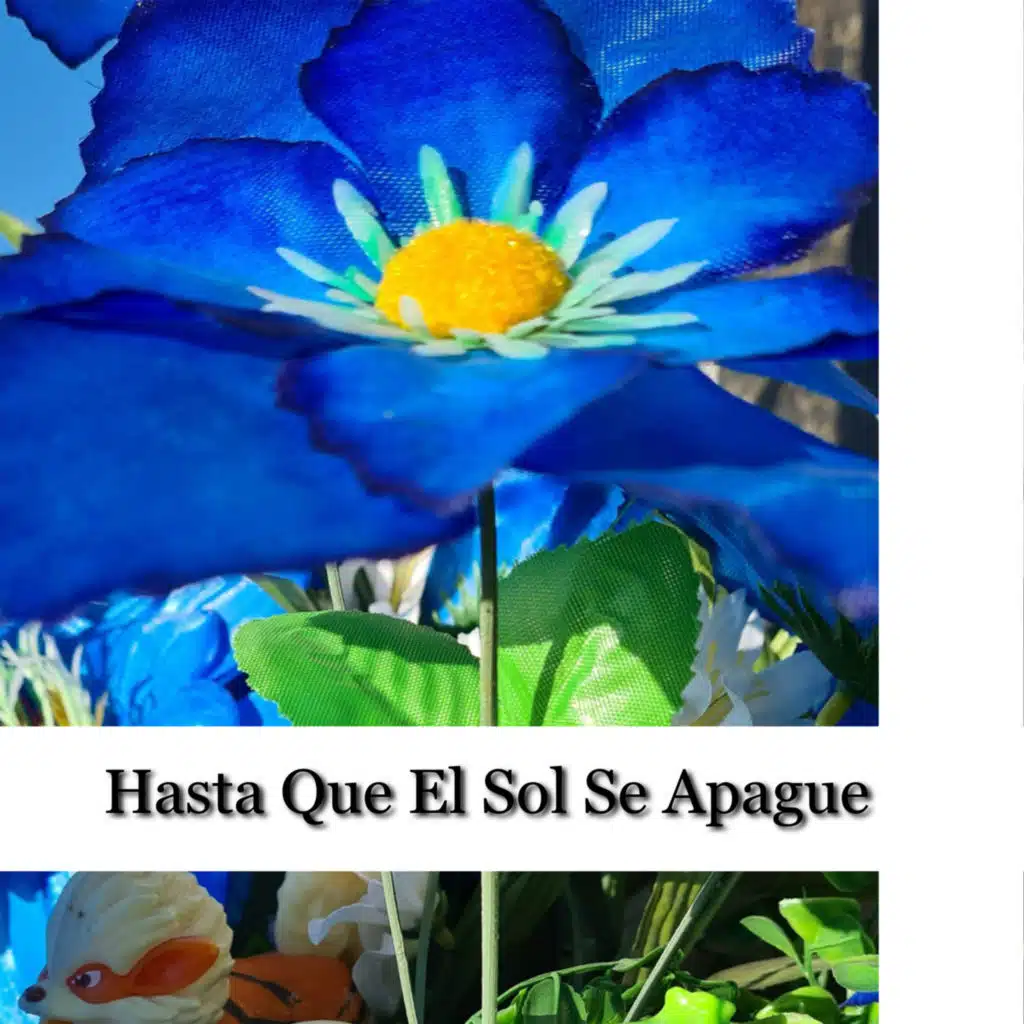 Hasta Que El Sol Se Apague